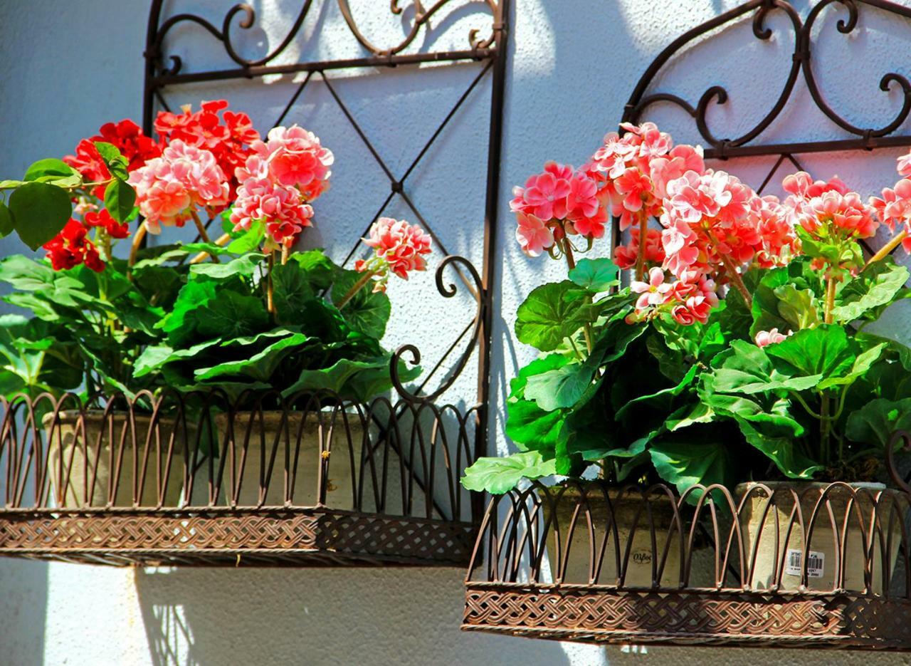 Boutique Hotel Kentrikon & Bungalows Agios Ioannis  エクステリア 写真
