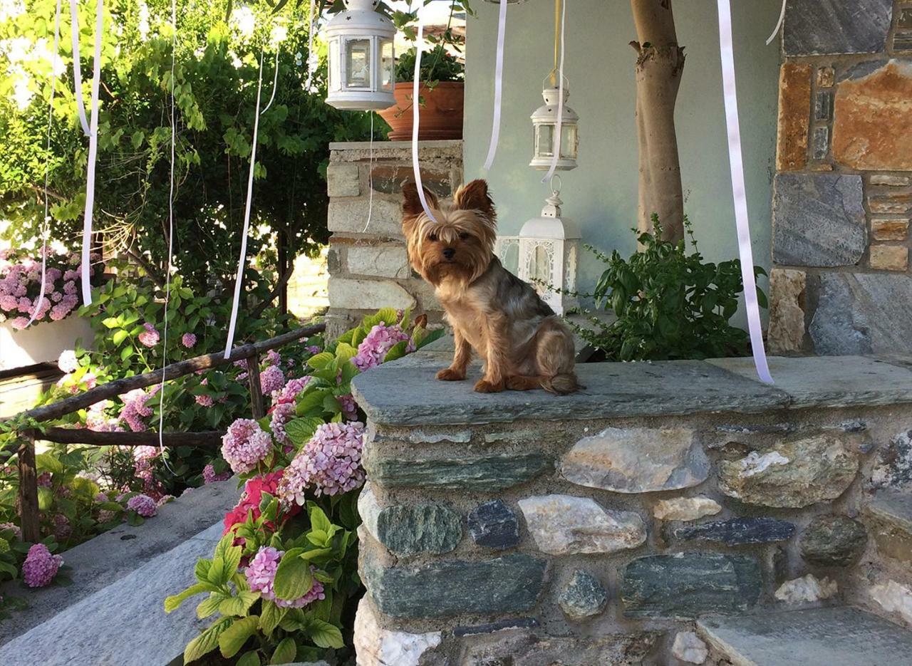 Boutique Hotel Kentrikon & Bungalows Agios Ioannis  エクステリア 写真